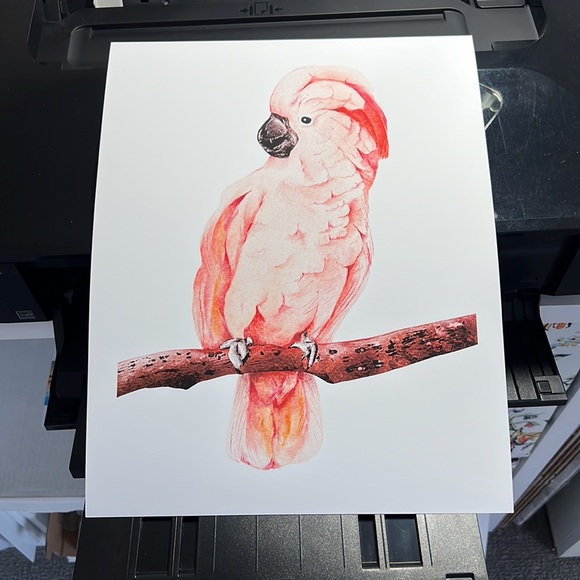 Wall Art Tropical Bird Portrait Print Unframed - Picture 14 of 15